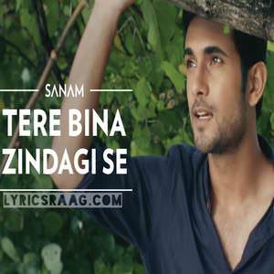 tere-bina-zindagi-se-lyricsmint-sanam-puri-band-2016-songs
