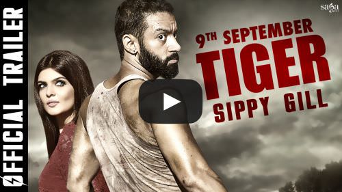 Tiger (2016) Punjabi Movie Wiki Info – Sippy Gill & Ihana Dhillon