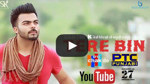 Tere Bin Lyrics – Sarthi K