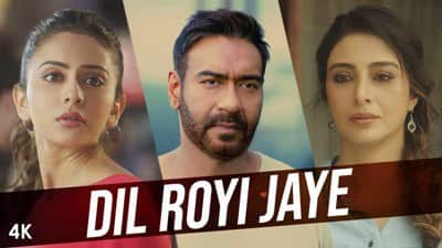 Dil Royi Jaye Lyrics – Hindi Song | De De Pyaar De