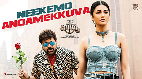 Neekemo Andamekkuva Lyrics Waltair Veerayya