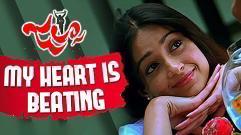 My Heart Is Beating Adhola Lyrics English Translation — Jalsa | Ranjith