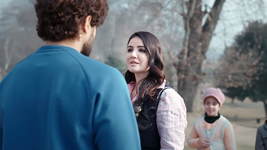 Dil Tujhpe Aa Gaya Lyrics {English Meaning} – Payal Dev | Stebin Ben | Ft. Pearl V Puri, Amy Aela