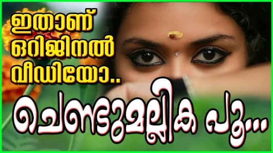 Chendumallika Poo Kandal Lyrics Translation (in English) » Biju | Pradeep Irinjalakuda