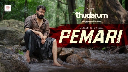 Pemari-Lyrics-Meaning-in-English-Thudarum-Anila-Rajeev