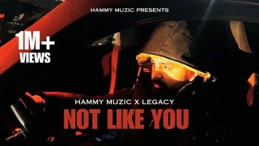 Not-Like-You-Lyrics-English-Meaning-Hammy-Muzic