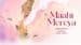 Maahi-Mereya-Lyrics-English-Translation-Varun-Jain