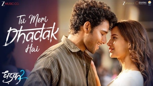 Tu-Meri-Dhadak-Hai-Lyrics-Meaning-in-English-Dhadak-2-Vishal-Mishra