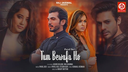Tum Bewafa Ho Lyrics English (Translation): Payal Dev | Stebin Ben