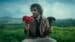 Unse-Jaake-Kehdo-Lyrics-English-Meaning-Justh