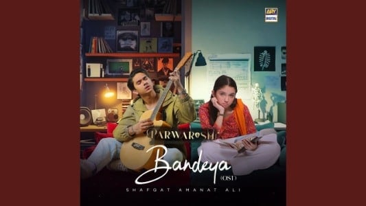 Bandeya-Lyrics-English-Translation-Parwarish-Shafqat-Amanat-Ali