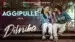 Aggipulle Lyrics Translation | Dilruba | Anurag Kulkarni | Sam C.S.