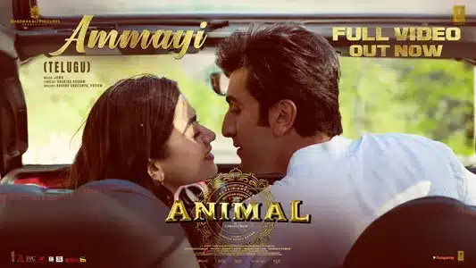 Ammayi Lyrics English Meaning - ANIMAL | Anantha Sreeram | Raghav Chaitanya