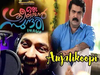 Anjalikooppi Nin Munnil Lyrics Meaning: Oru Srilankan Sundari Inauh | Vineeth Sreenivasan