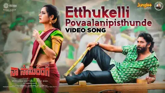 Etthukelli Povaalanipisthunde Lyrics Translation | Naa Saami Ranga | M. M. Keeravaani | Ram Miriyala