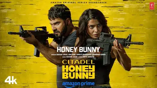 Honey Bunny Lyrics Translation | Citadel Honey Bunny | Ash King | Shubham Kabra