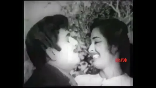 Kaattu Pura Onnu Lyrics Translation – Kaattu Rani | P. Susheela | T. M. Soundarajan