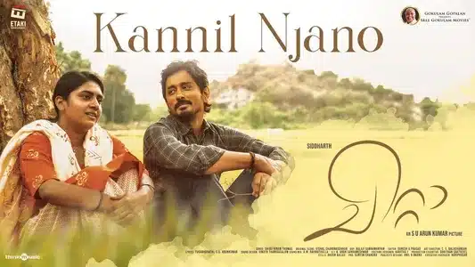 Kannil Njano Thedum Lyrics English Translation — Chitta | Chinmayi | Hariharan Sheshaadri