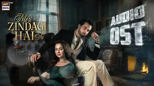 Meri Zindagi Hai Tu OST Lyrics Translated to English – Asim Azhar | Sabri Sisters