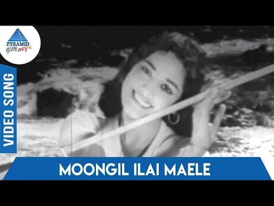 Moongil Ilai Mele Lyrics English Meaning – Kaattu Rani | P. Susheela