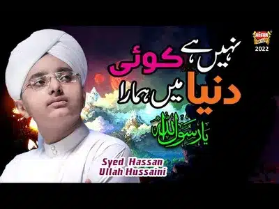 Nahi Hai Koi Duniya Mein Hamara Lyrics {English Meaning}: Syed Hassan Ullah Hussaini