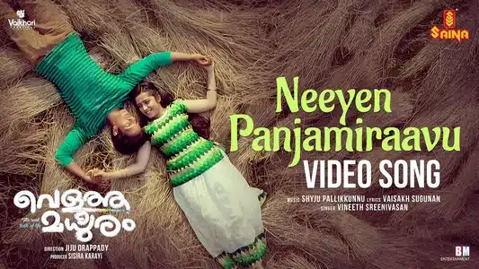 Neeyen Panjamiravu Lyrics Meaning: Veluththa Madhuram | Vineeth Sreenivasan