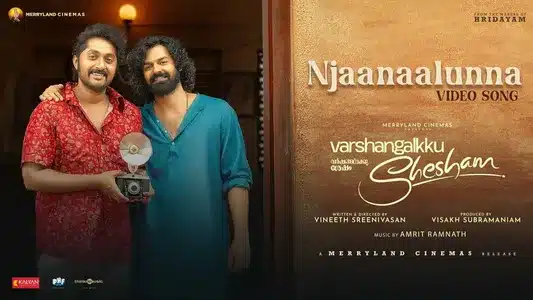 Njaanaalunna Theeyil Ninnu Lyrics Translation | Varshangalkku Sesham | Hesham Abdul Wahab
