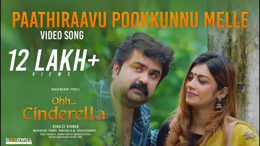 Paathiravu Pookkunnu Lyrics Meaning - Oh Cinderella | Vijay Yesudas