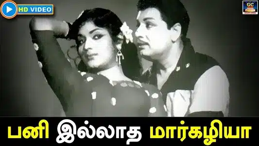 Pani Illatha Markazhiya Lyrics Meaning | Anandha Jodhi | P. Susheela | T. M. Soundarajan