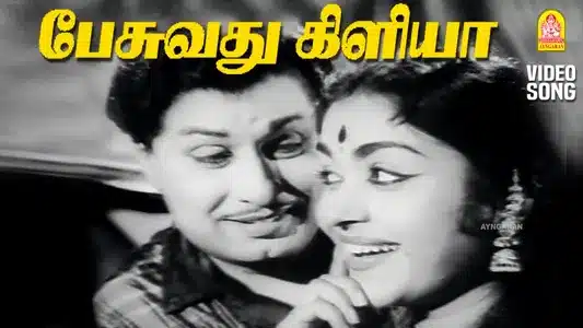 Pesuvathu Kiliya Illai Lyrics Translation — Panathottam | P. Susheela | T. M. Soundarajan