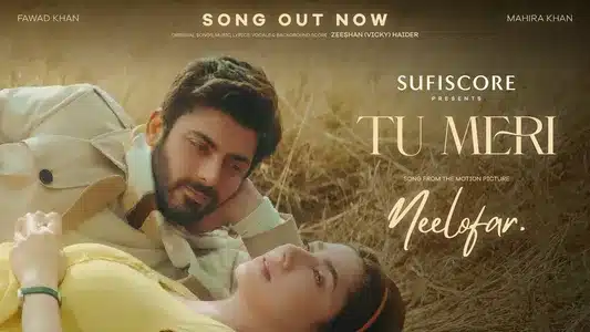 Tu Meri Lyrics Translation | Neelofar | Zeeshan Haider