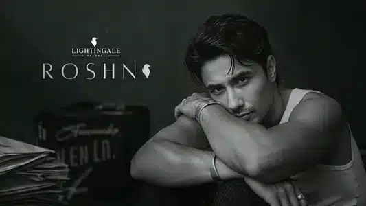 5 Star Lyrics Meaning | Roshni | Ali Zafar