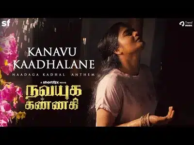 Anbe En Kanavu Kaadhalaney Lyrics English Meaning: Navayuga Kannagi | Alvin Bruno | Chinmayi