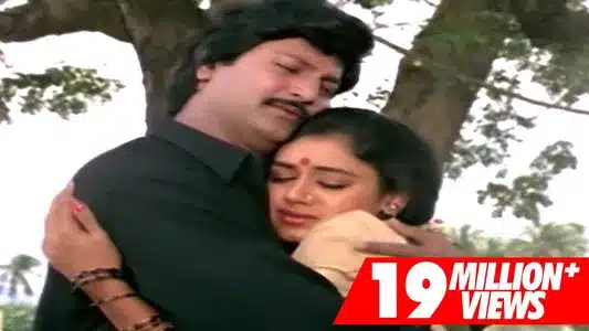 Boyavani Vetuku Lyrics English Meaning: Rowdy Gari Pellam | K J Yesudas