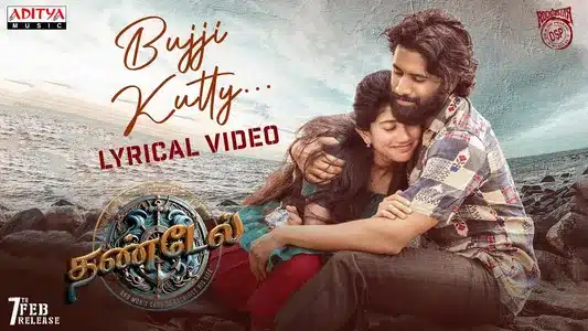 Bujji Kutty Lyrics English Meaning | Thandel | Devi Sri Prasad | Javed Ali