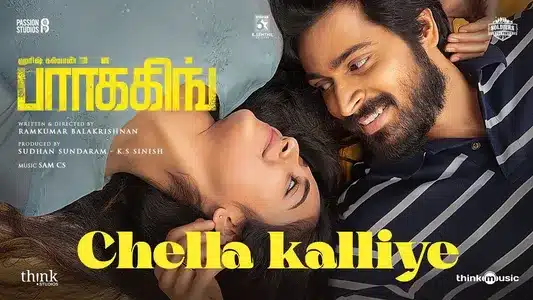 Chella Kalliye Lyrics Translation – Parking | Kapil Kapilan | Sam C.S.