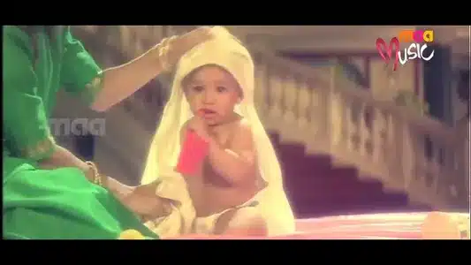 Chinni Thandri Lyrics Translation – Sisindri | Swarnalatha