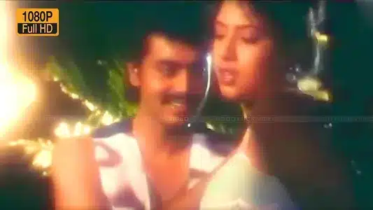 Chittu Chittu Kuruvi Lyrics Translation – Anbu Magan (1995) | Ilaiyaraaja | S. P. Balasubrahmanyam