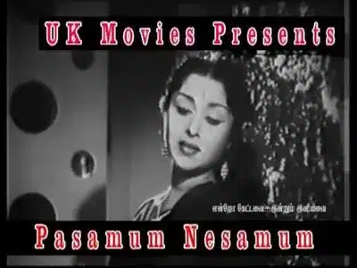 Engethaan Povaai Lyrics Meaning — Pasamum Nesamum | P. Susheela