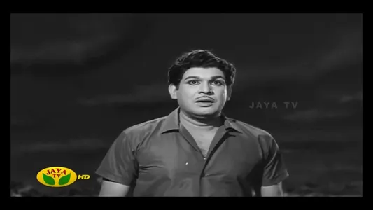 Enna Paravai Female Lyrics Meaning | Karthigai Deepam | P. Susheela