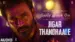 Jigar Thandhaale Lyrics English Translation | Tere Ishk Mein | A.R. Rahman | Haricharan