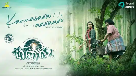 Kannasara Aaraaro Lyrics Translation - Malai | D. Imman | Shreya Ghoshal