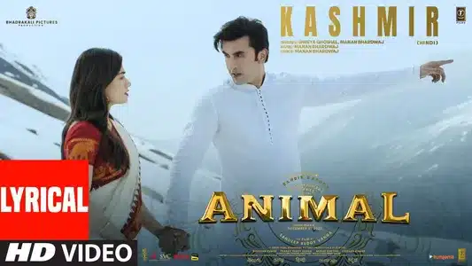 Kashmir Lyrics Translation | Animal | Manan Bhardwaj | Shreya Ghoshal