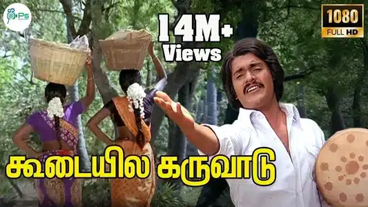 Koodaiyile Karuvaadu Lyrics Translation | Oru Thalai Ragam | Malaysia Vasudevan | T. Rajendar