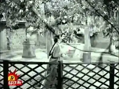 Malarum Mangaiyum Oru Lyrics Translation: Annaiyum Pithavum | P. Susheela