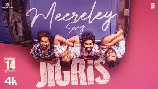 Meereley Lyrics Meaning: JIGRIS | Eknaath