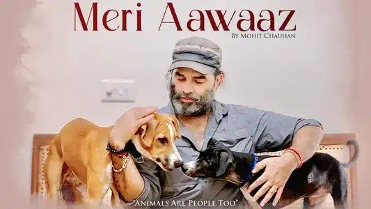 Meri Aawaaz Lyrics [English Meaning] – Mohit Chauhan | Prasad Sonule