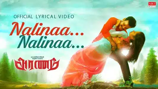 Nalinaa Nalinaa Lyrics English Translation | Aranam | Madhu Balakrishnan | Manjari