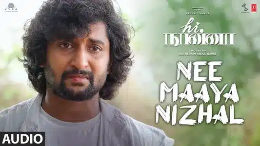 Nee Maaya Nizhal Lyrics Translation — Hi Nanna | Bhadra Rajin | Vineeth Sreenivasan