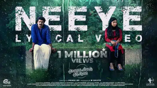 Neeye Lyrics English Translation – Anugraheethan Antony | Haritha Balakrishnan | Vineeth Sreenivasan